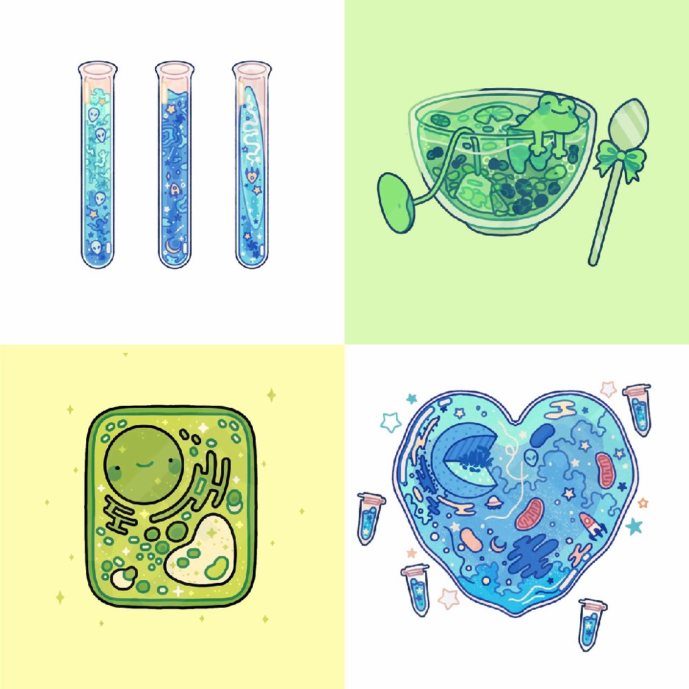 Sara海洋生物插画