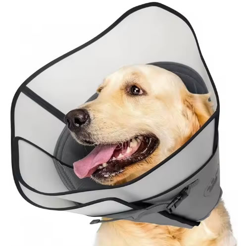 宠物项圈发明专利