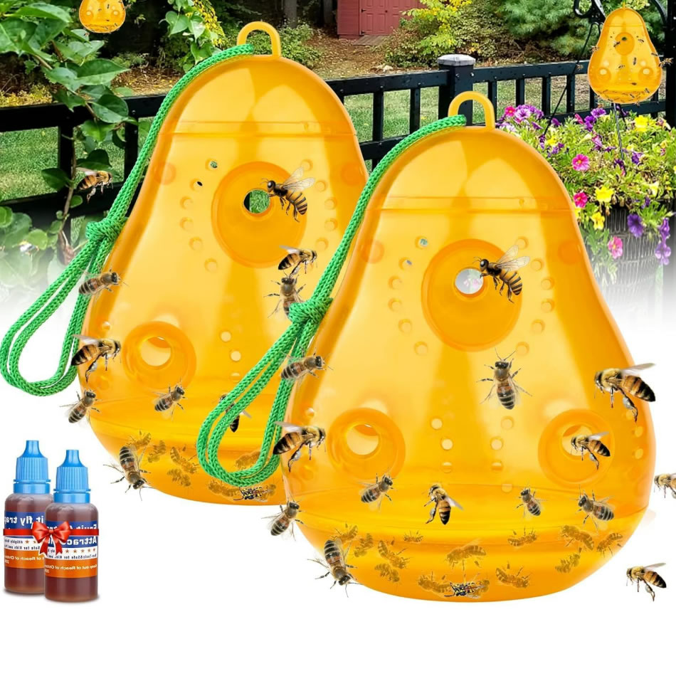 梨形蜜蜂陷阱