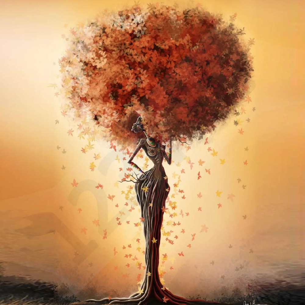 Michele 非洲树插画