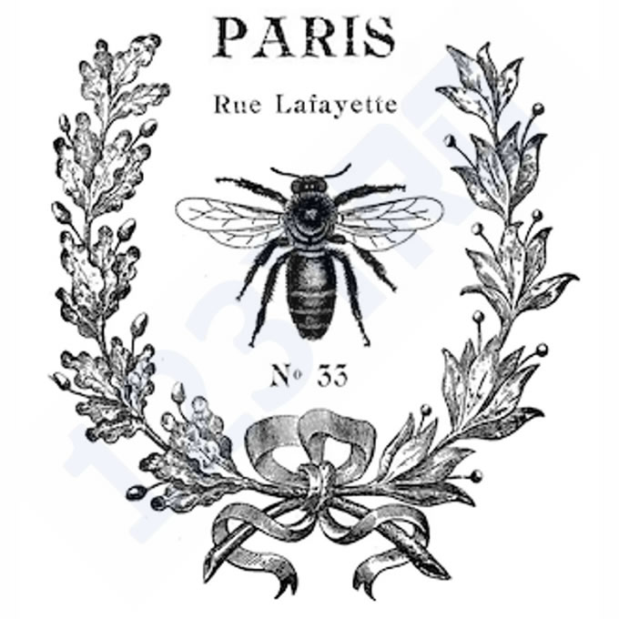巴黎蜜蜂插画